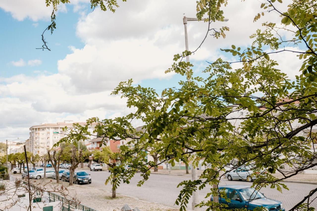 Avenida Βίλα Elvas Εξωτερικό φωτογραφία